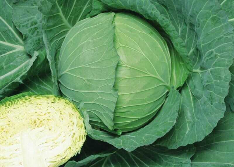 CV MISS SAYUR SEJAHTERA